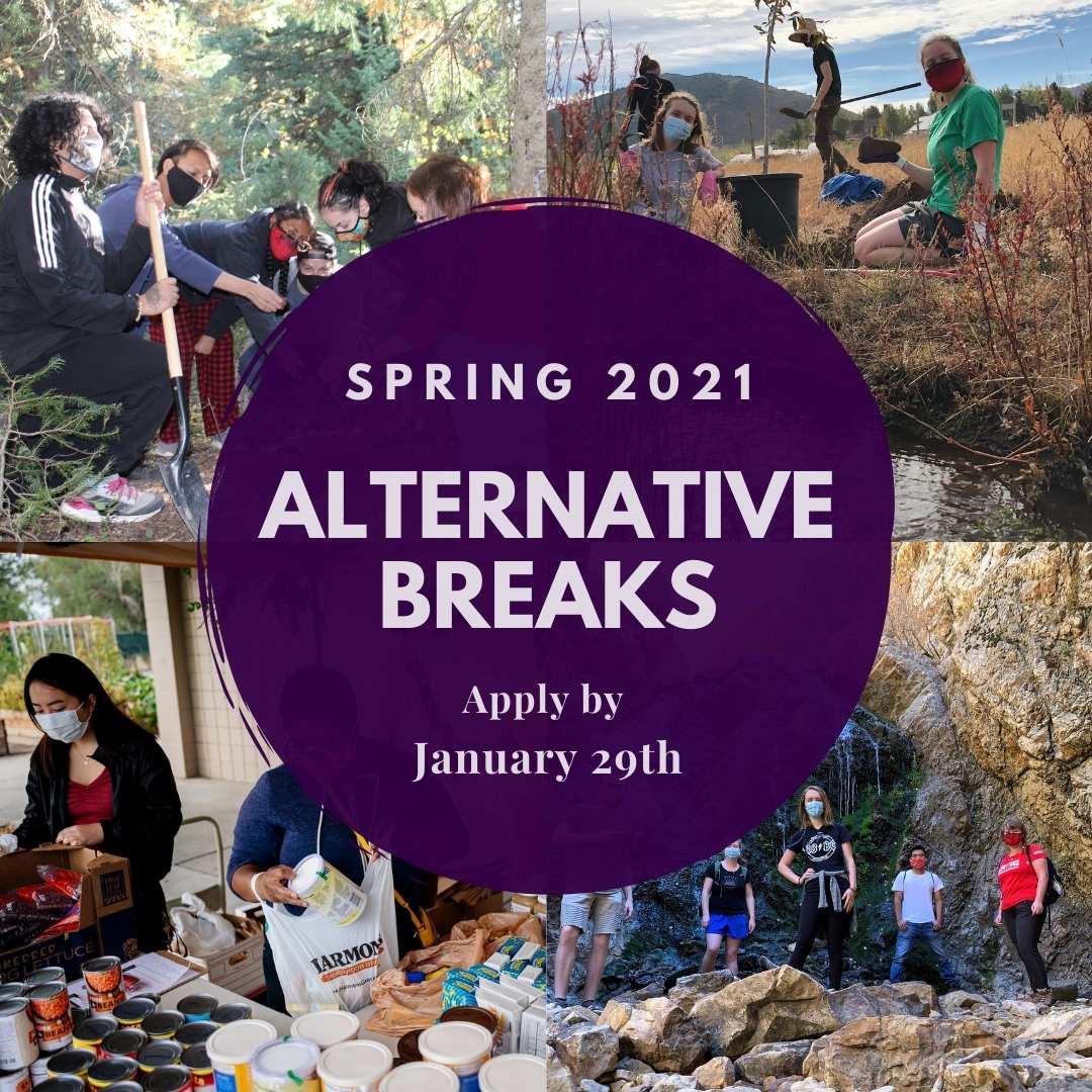 AB Lite applications open