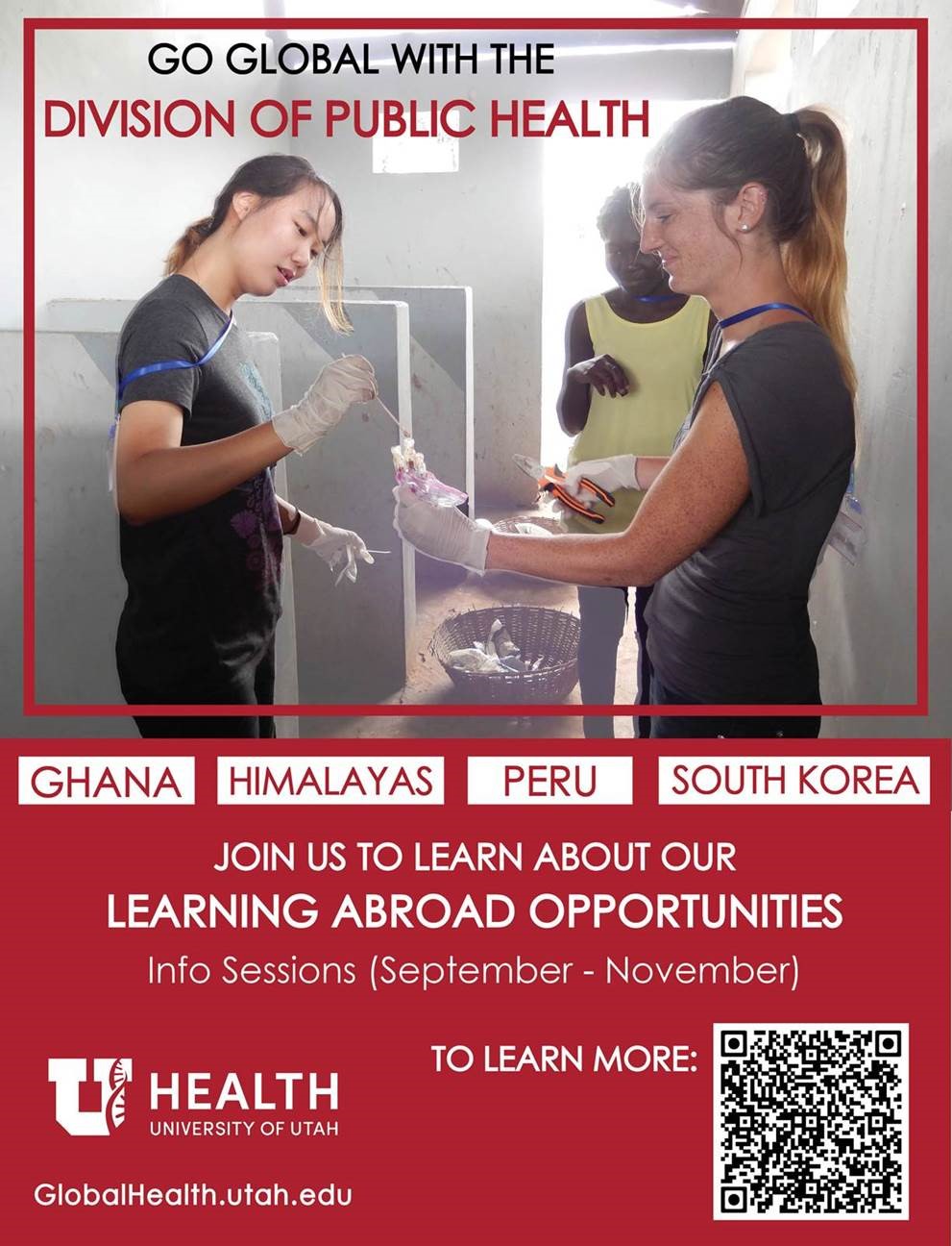 Go Global Public Health 
