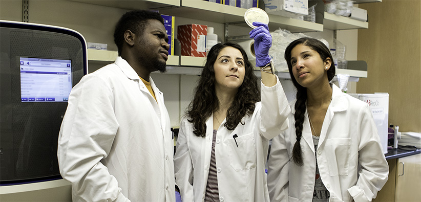 undergraduate research