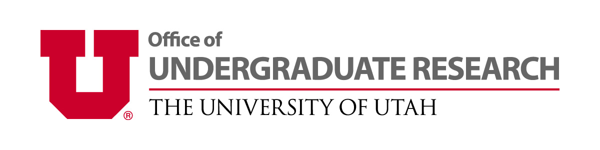 udergraduate research